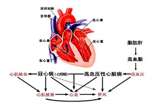 貴陽(yáng)強(qiáng)直醫(yī)院高尿酸血癥會(huì)引發(fā)的疾病.jpg