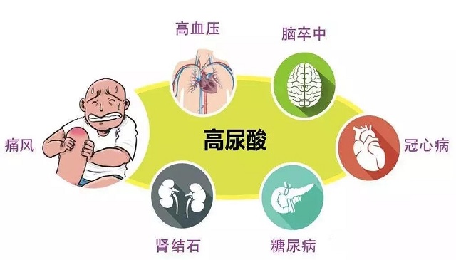 圖片8.jpg